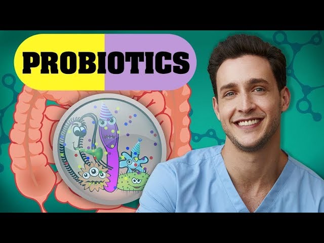 Probiotics Benefits + Myths | Improve Gut Health | Doctor Mike