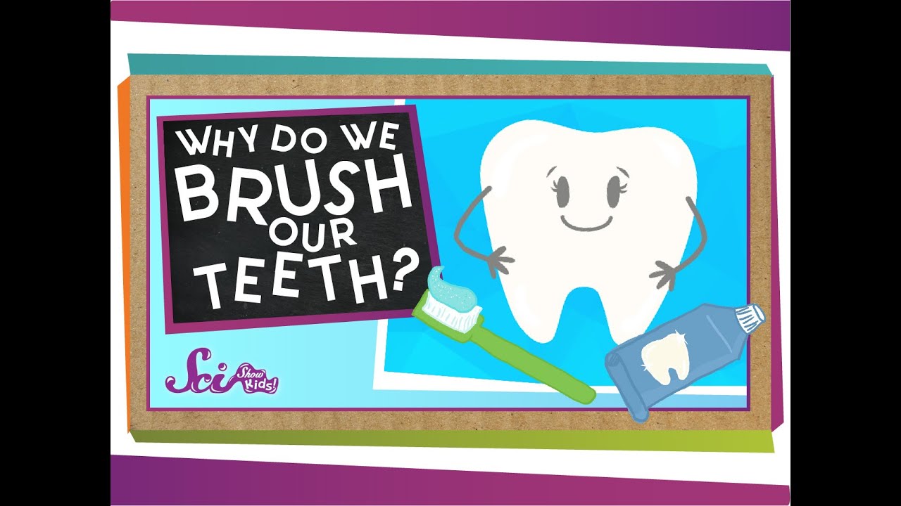 Why do We Brush Our Teeth? | Health for Kids | SciShow Kids