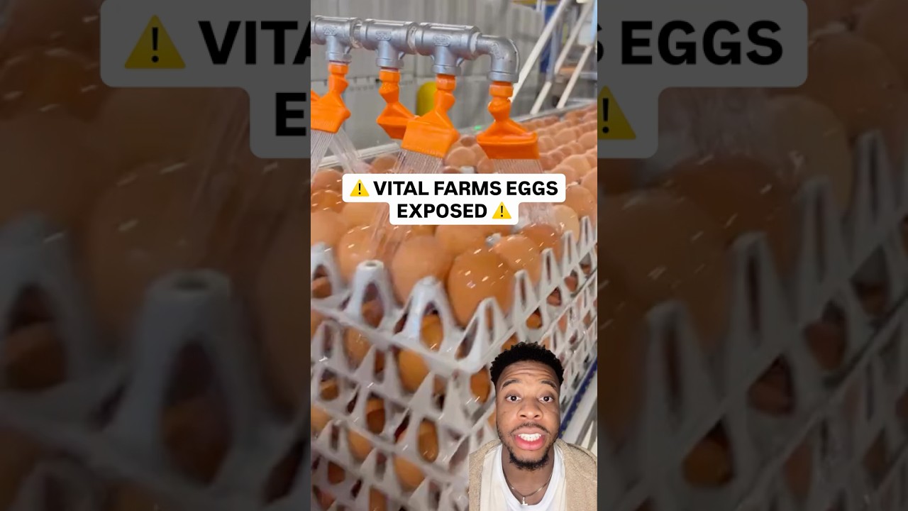 Vital Farms Eggs EXPOSED ⚠️🍳 #food #eggs #health